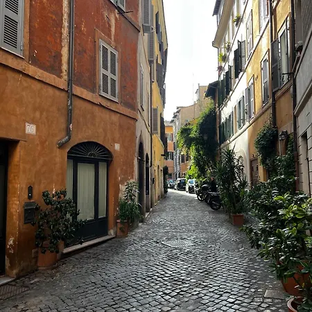 Blooms Your Retreat In Campo De Fiori *